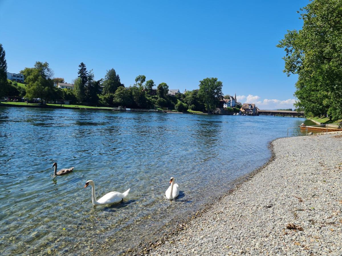Ferienwohnung Rheinblick In Buesingen -Keine Monteure- Busingen Ngoại thất bức ảnh