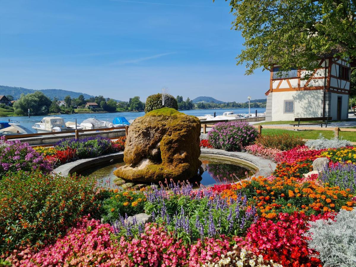 Ferienwohnung Rheinblick In Buesingen -Keine Monteure- Busingen Ngoại thất bức ảnh