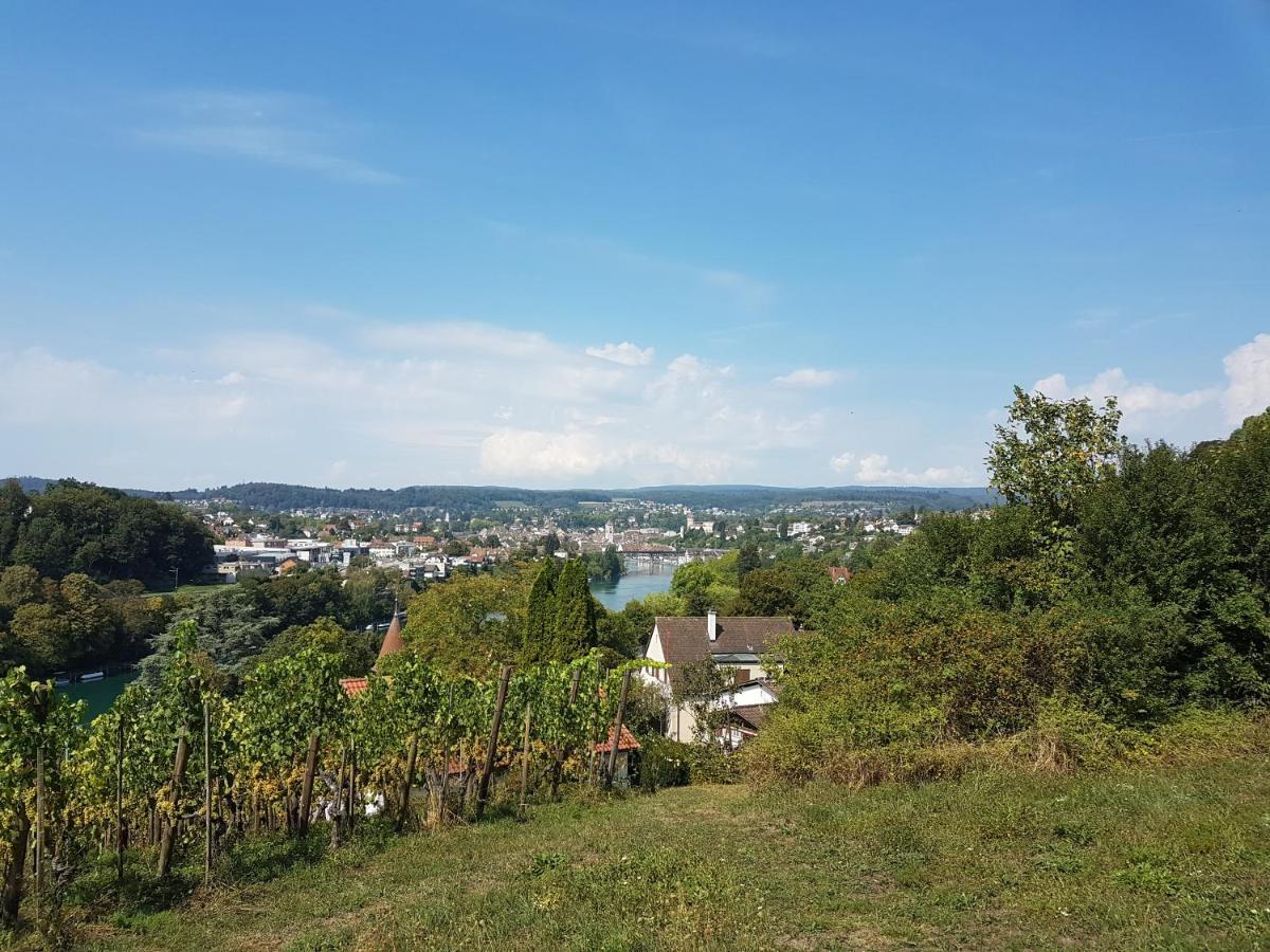 Ferienwohnung Rheinblick In Buesingen -Keine Monteure- Busingen Ngoại thất bức ảnh
