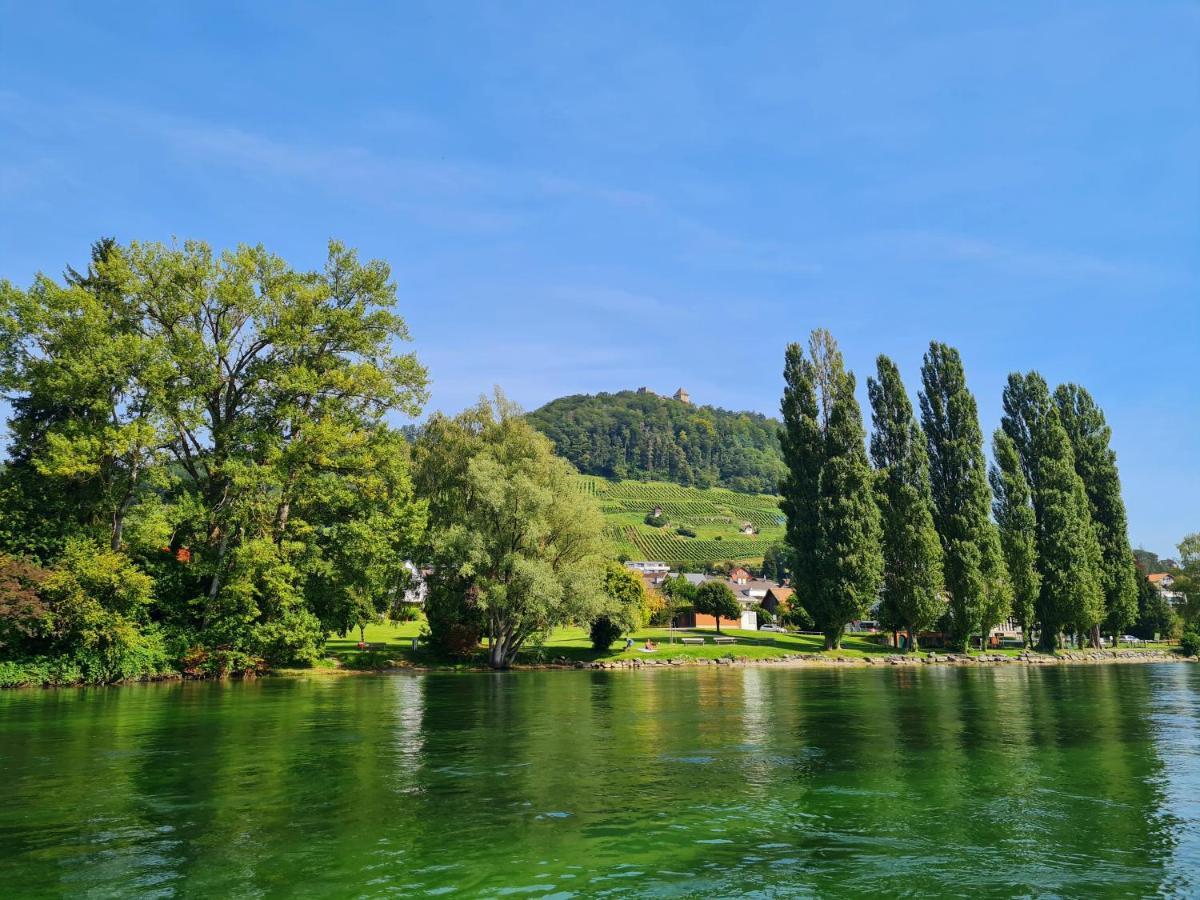Ferienwohnung Rheinblick In Buesingen -Keine Monteure- Busingen Ngoại thất bức ảnh