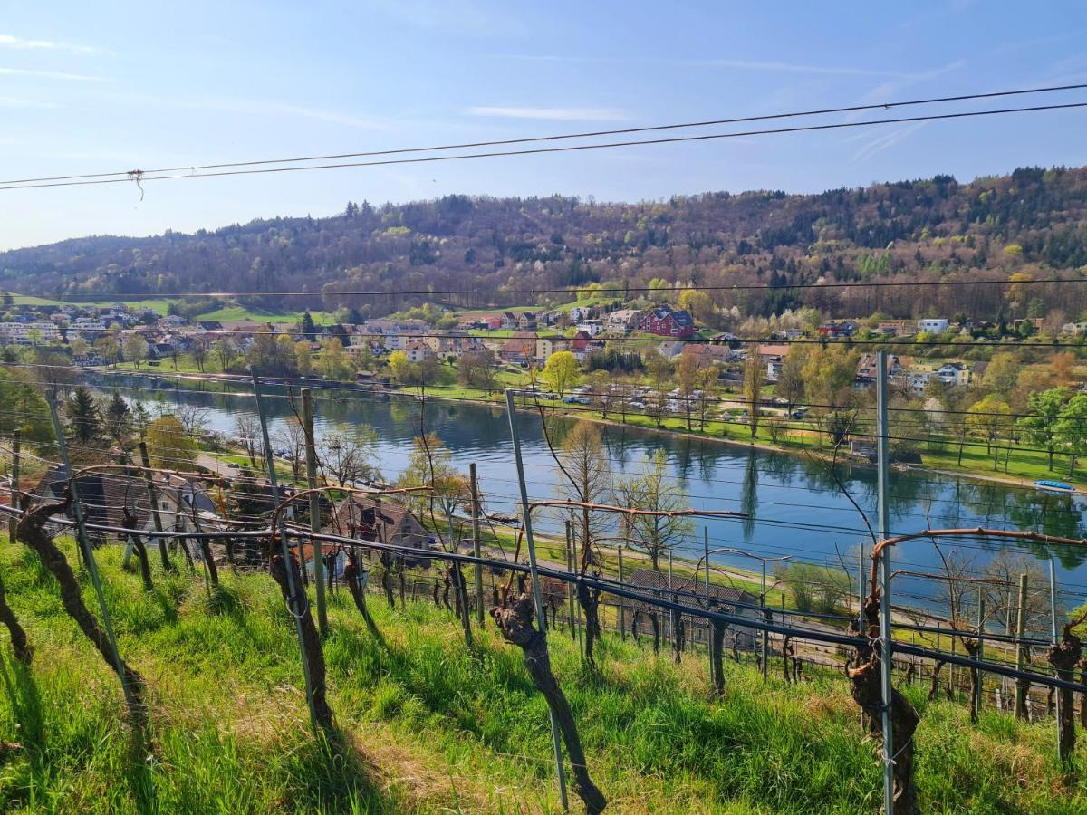 Ferienwohnung Rheinblick In Buesingen -Keine Monteure- Busingen Ngoại thất bức ảnh